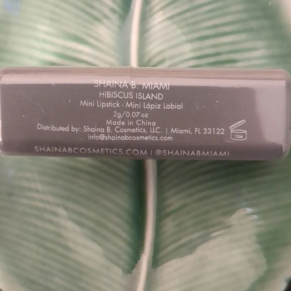 Shaina B. Miami Lipstick